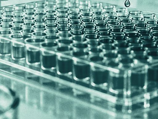 A 96-well microplate